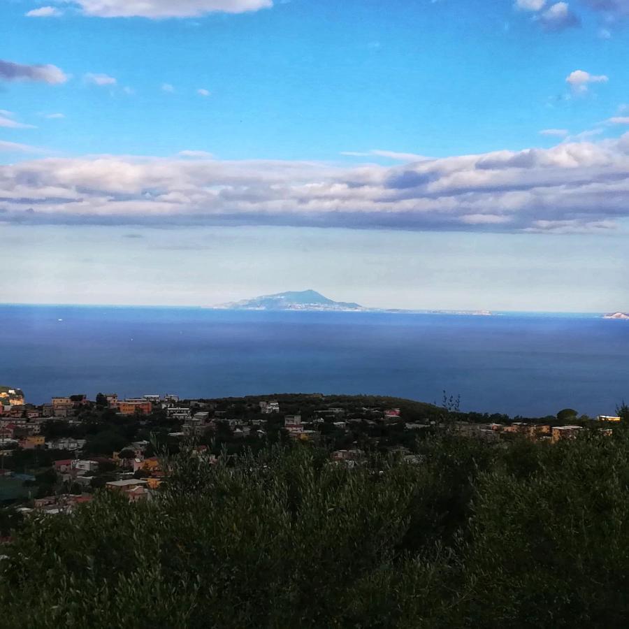 La Mandra, Cottage Tra Gli Ulivi Вико Екуензе Екстериор снимка